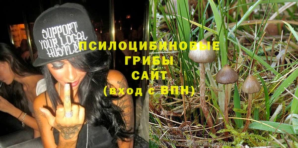 сатива Богородицк